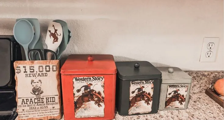 12041 modern western kitchen