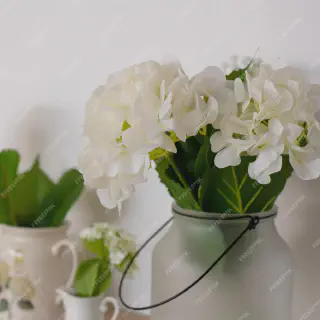 /img/12060-floral-kitchen-maintenance.webp