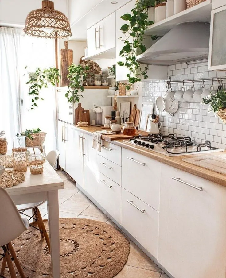 12125 kitchen decor essentials