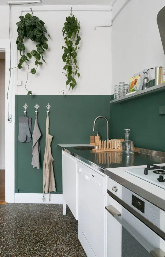 12182 green walls modern kitchen