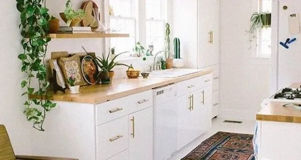 12227 coffee theme kitchen