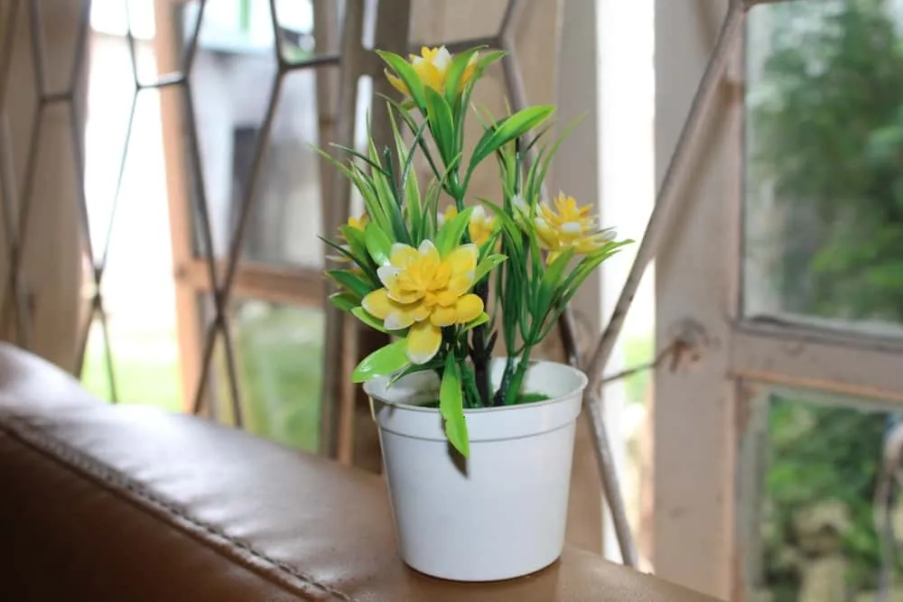 12264 kitchen decor plants
